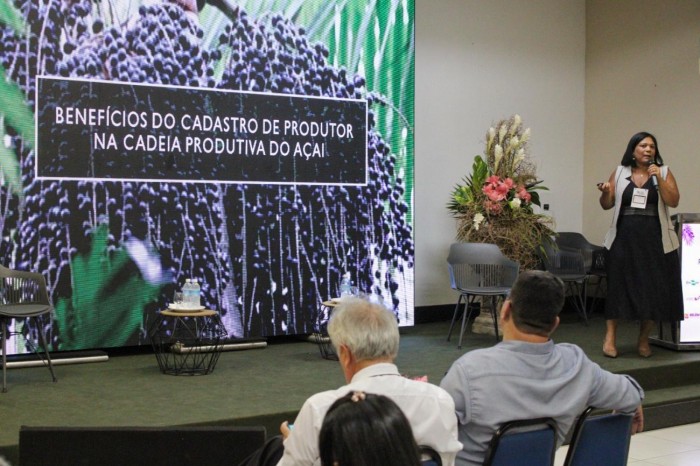 Adepará destaca importância da rastreabilidade do açaí em evento com agentes do setor produtivo