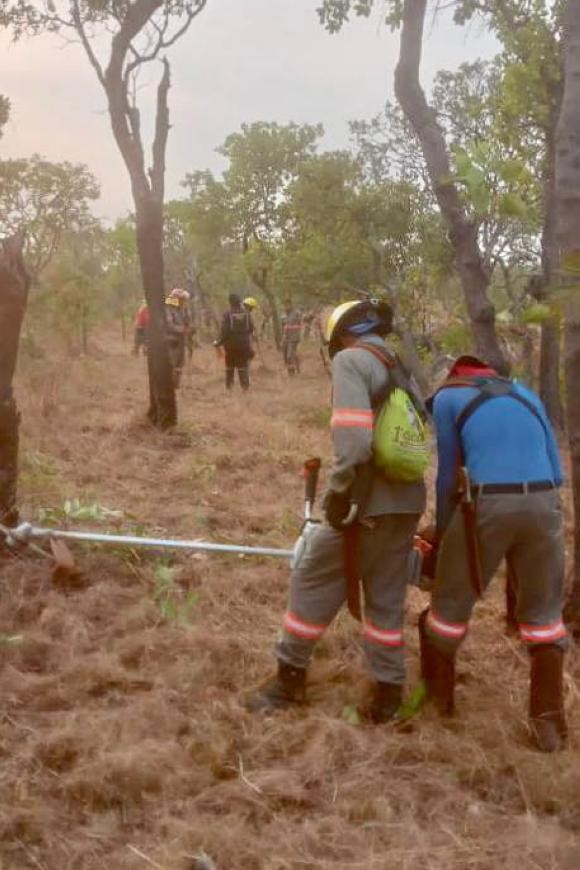 Ideflor-Bio combate incêndios no Parque Serra dos Martírios e na APA Araguaia