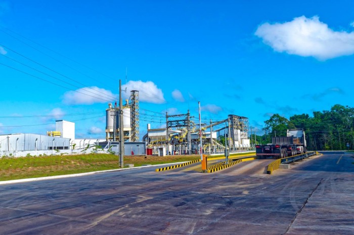 Governo do Estado apoia instalação de fábrica de cimento em Ananindeua 