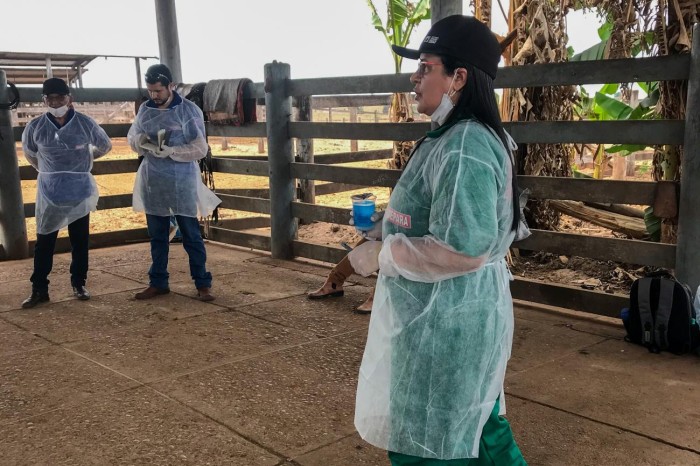 Adepará realiza treina fiscais e agentes agropecuários para atuação na defesa sanitária animal 