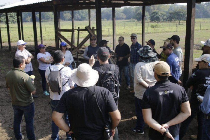 Visita à propriedades rurais com pecuária sustentável encerra Oficina de Capacitação do Plano ABC+ no Amazonas