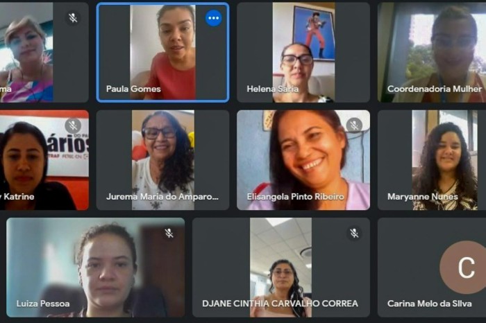 Conselho Estadual dos Direitos da Mulher (CEDM) faz apresentação do planejamento de 2024 a 2027