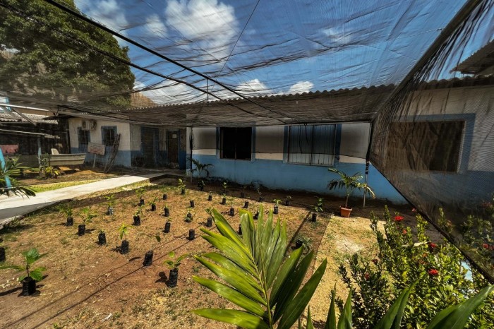 Estado impulsiona desenvolvimento sustentável no Marajó com a entrega de três viveiros de mudas em Soure