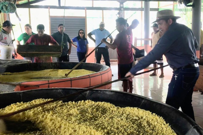 Adepará entrega certificado de registro para casa de farinha em Tracuateua